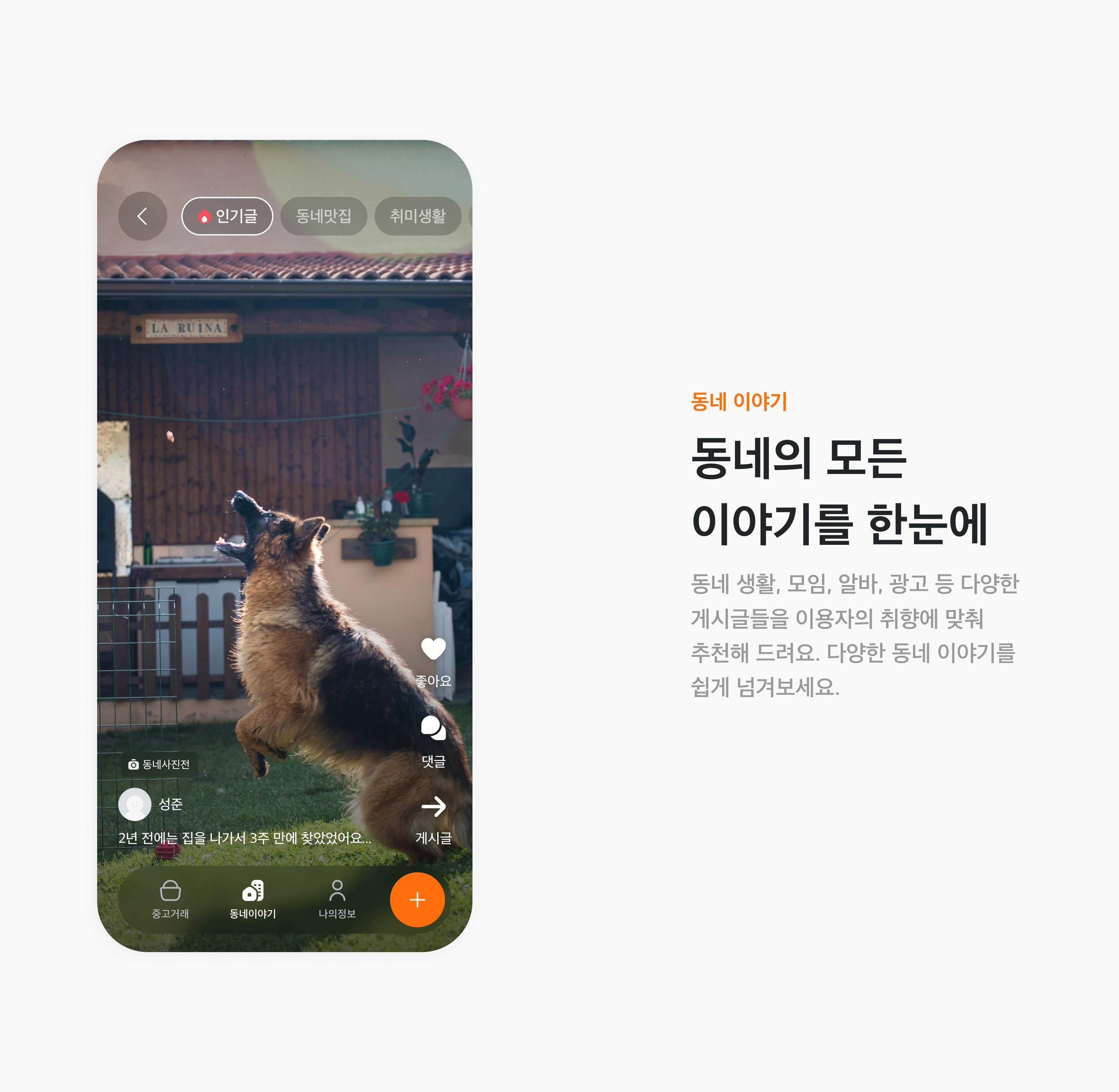 당근이지 project image 19