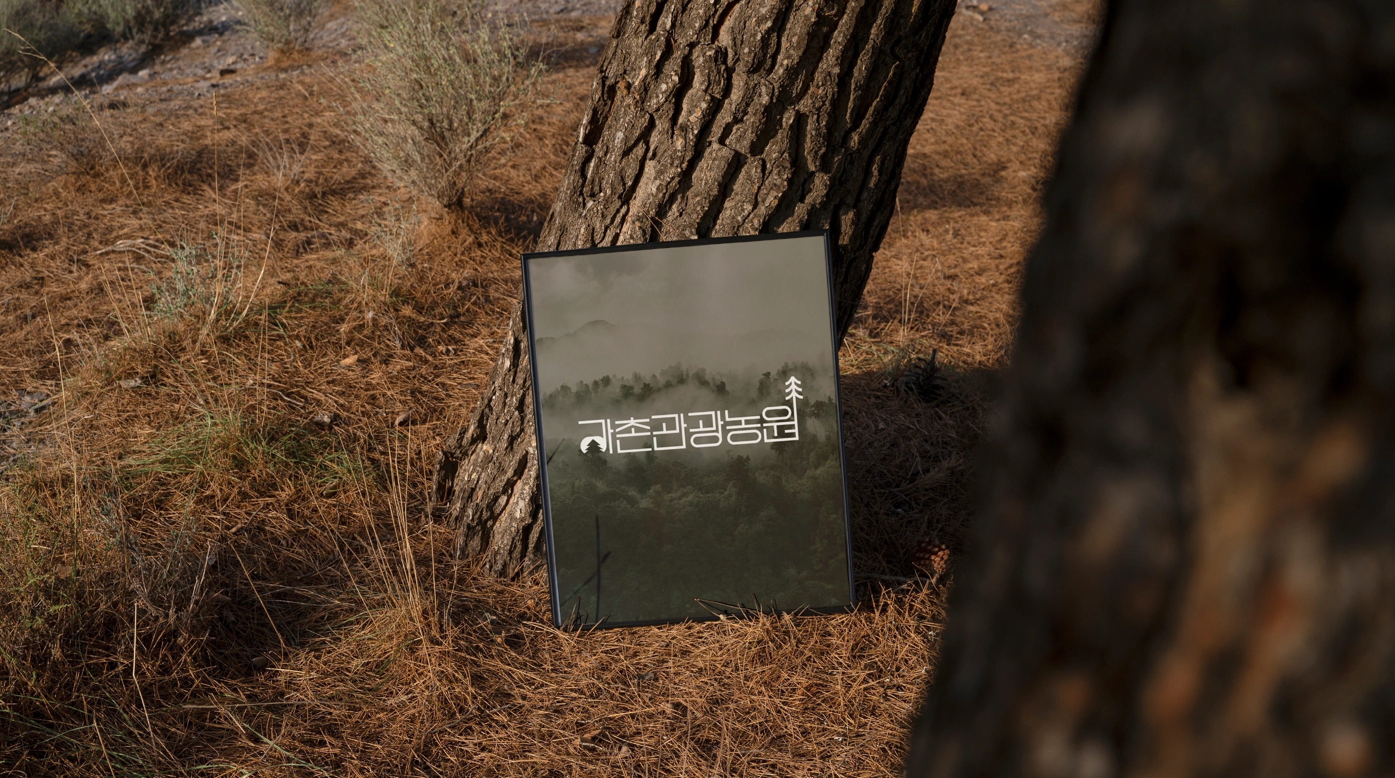강촌관광농원 project image 10