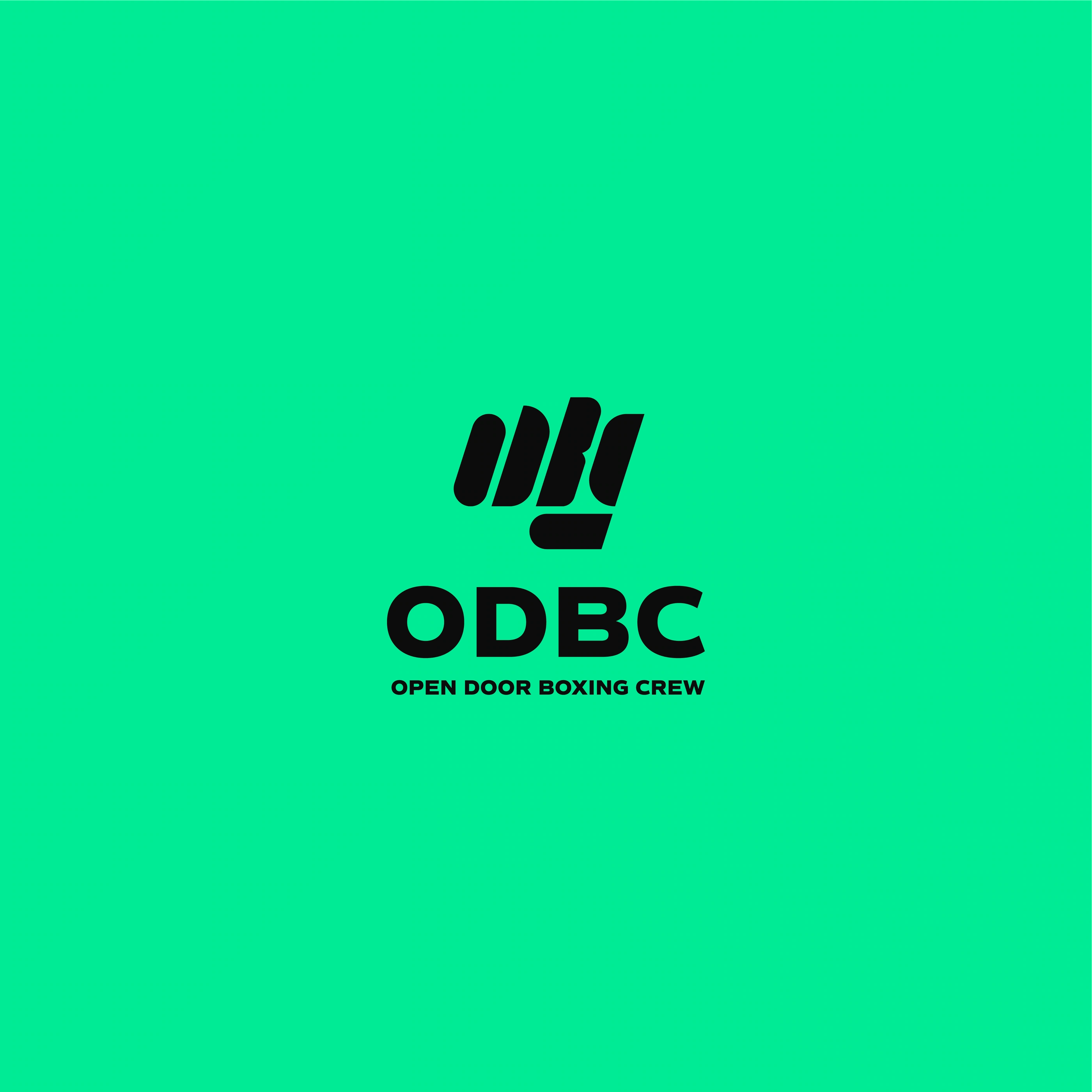 ODBC project image 4