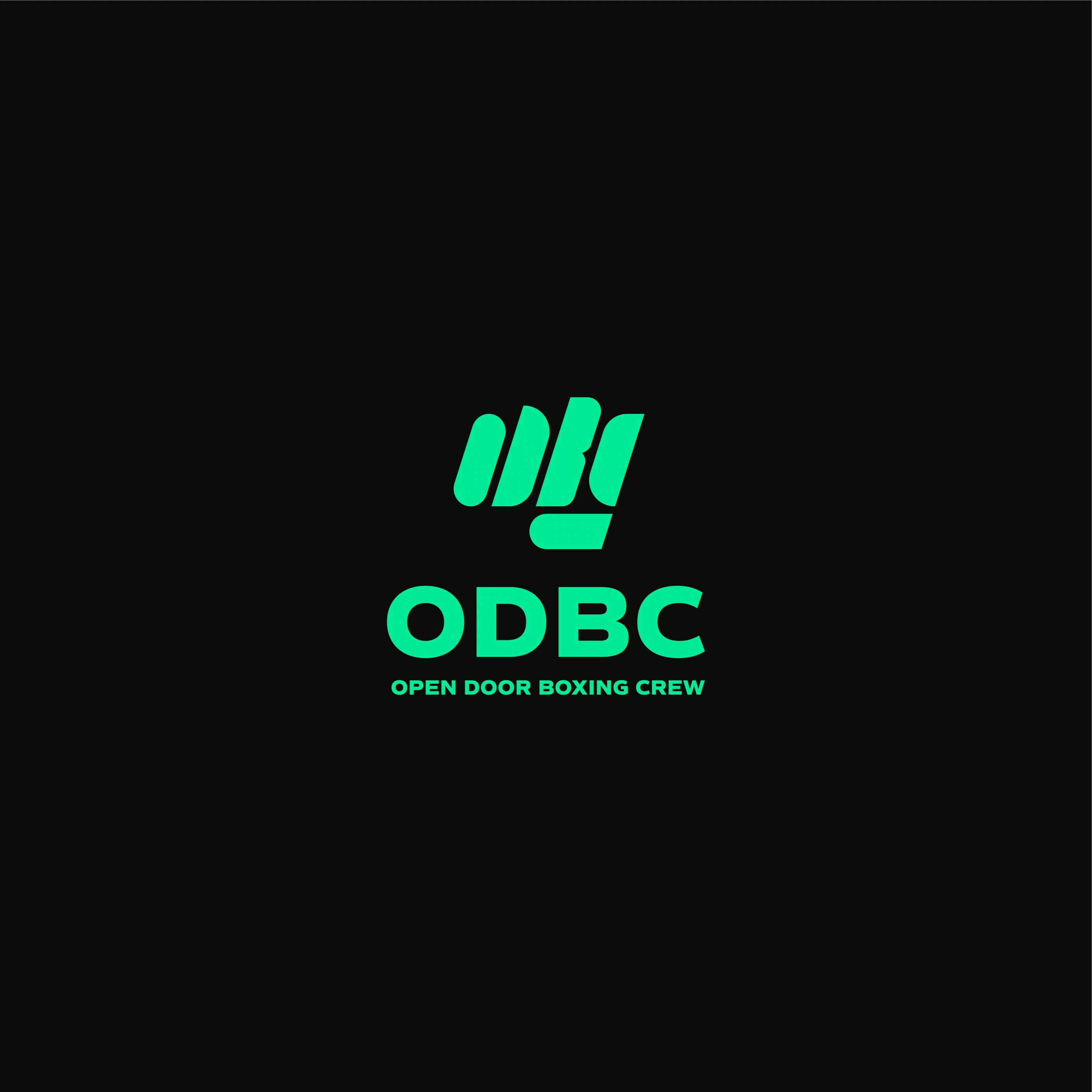 ODBC project image 5