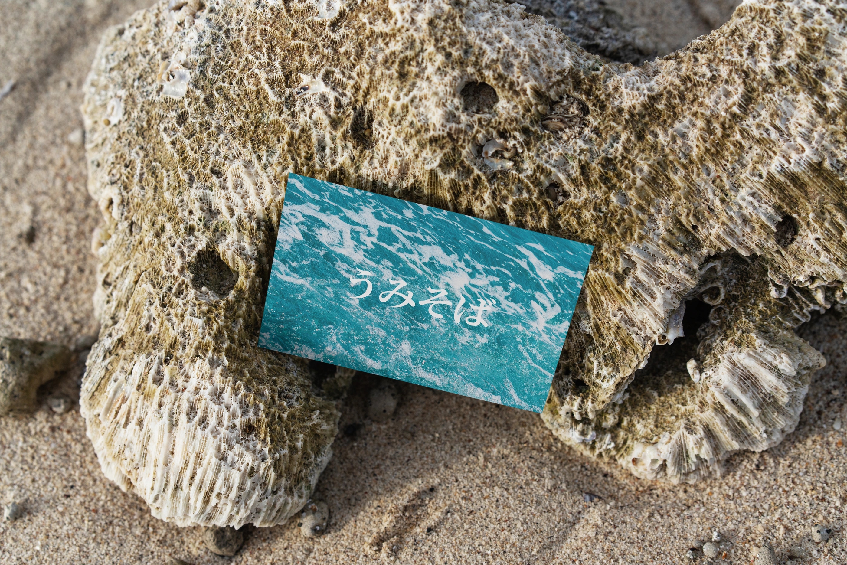 Umi Soba project image 6
